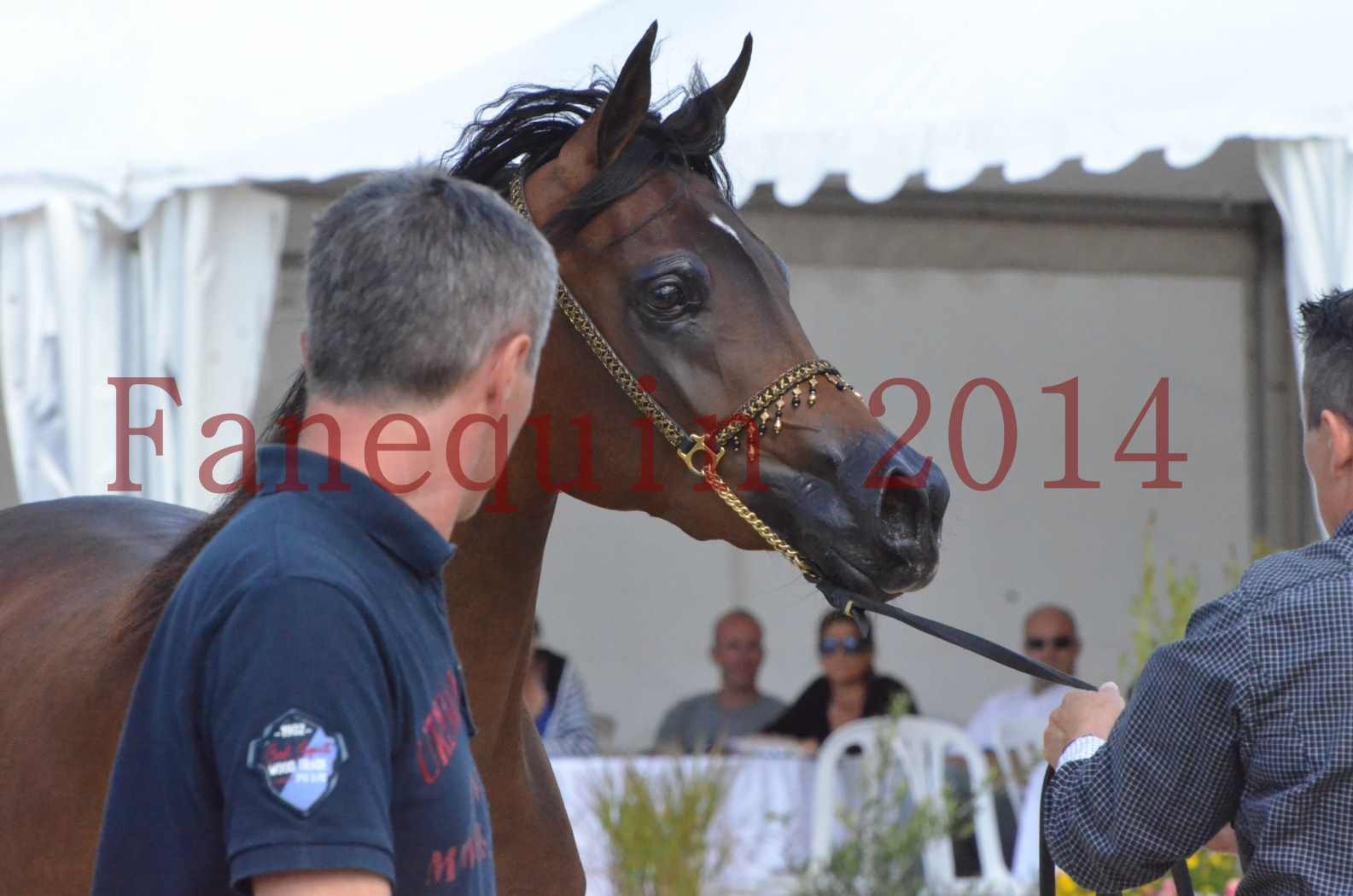 Championnat de FRANCE 2014 - Amateurs - KAL'ELLE D'ELHORIA - 83