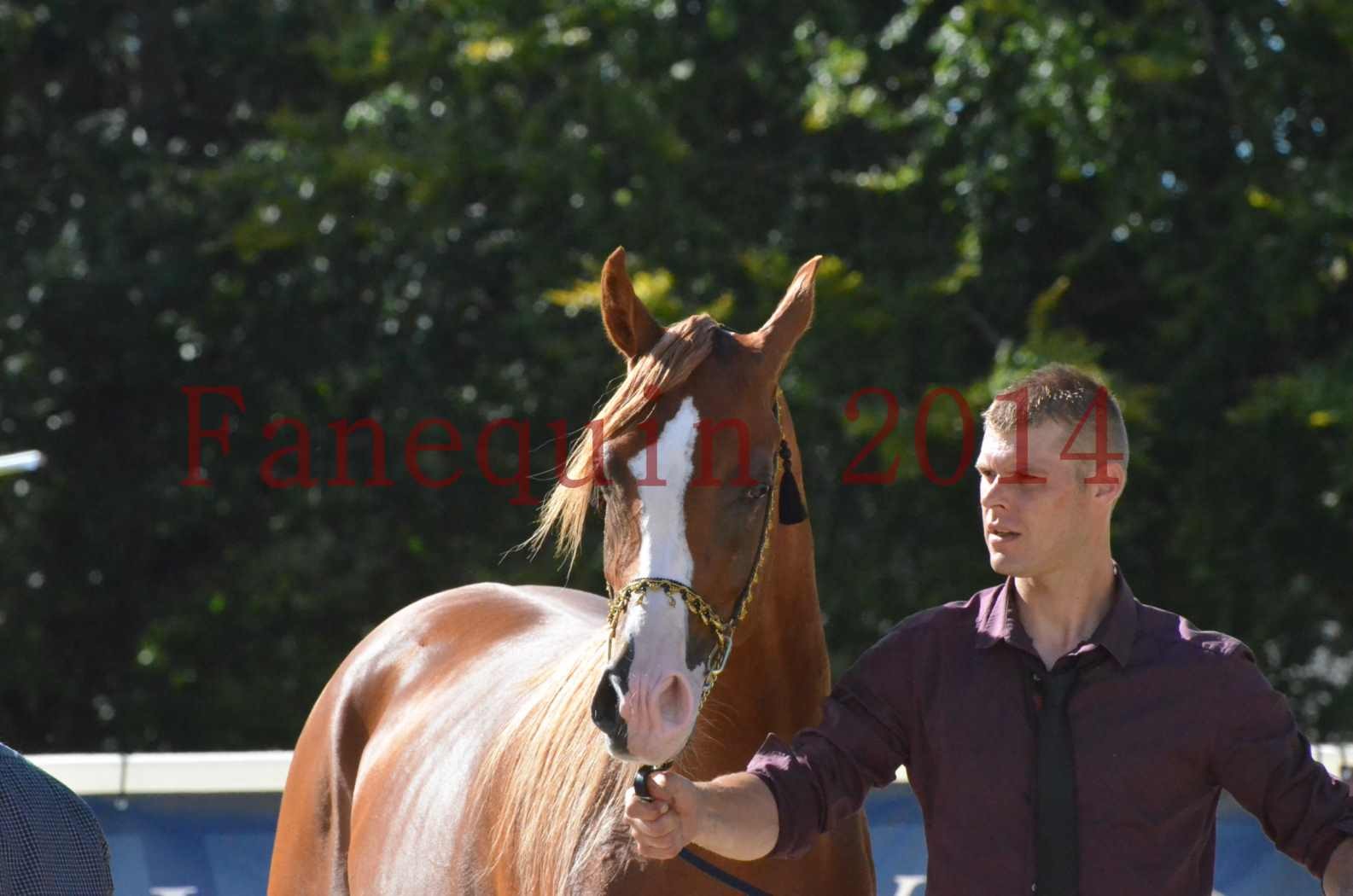 Championnat de FRANCE 2014 - Amateurs - SELECTO IBN SAMAWI - 082