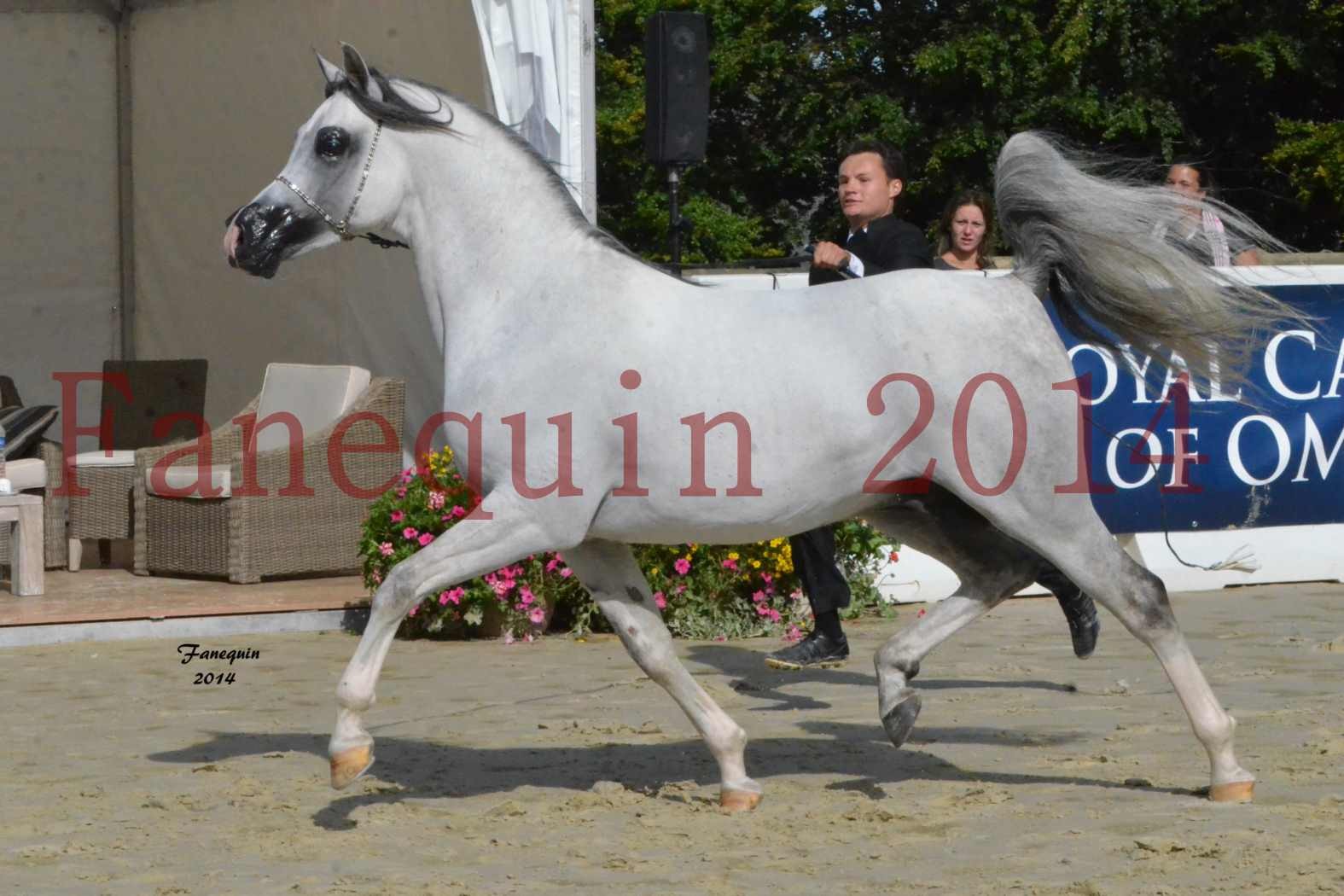 CHAMPIONNAT DE FRANCE  2014 A POMPADOUR - Notre Sélection - SHAOLIN DE NEDJAIA - 08