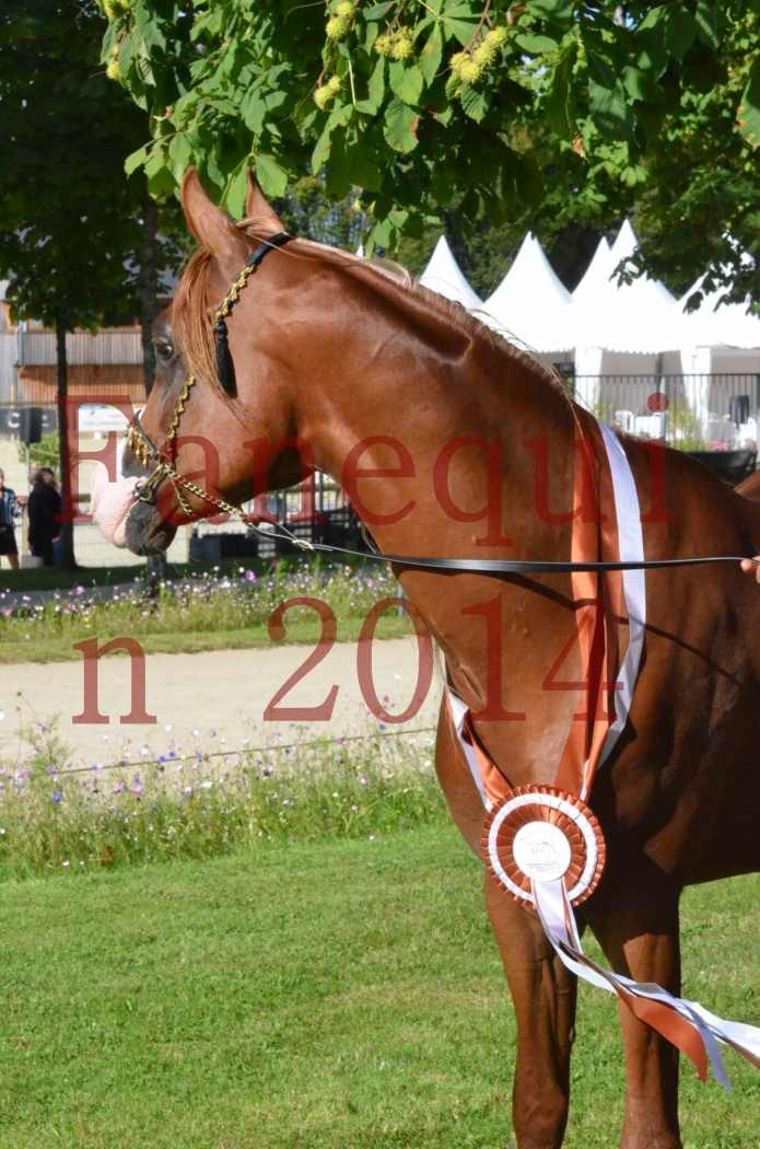 Championnat de FRANCE 2014 - Amateurs - SELECTO IBN SAMAWI - 195