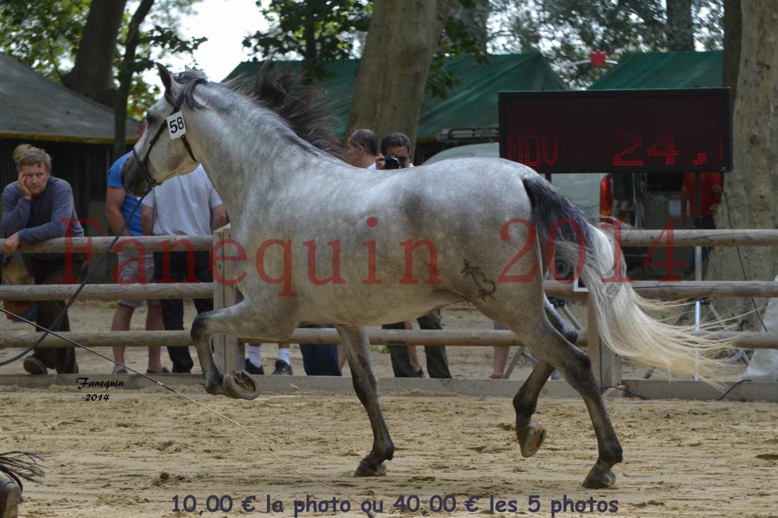 Championnat de FRANCE de PRE-présentation en main-09