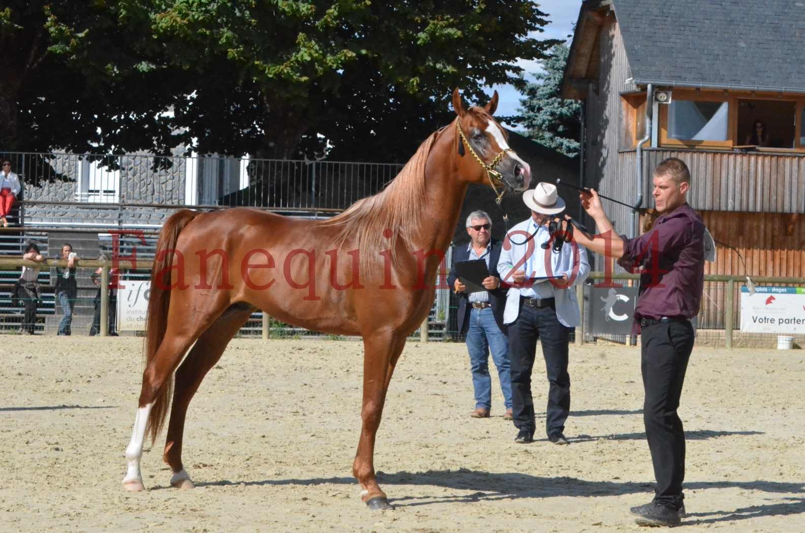 Championnat de FRANCE 2014 - Amateurs - SELECTO IBN SAMAWI - 075