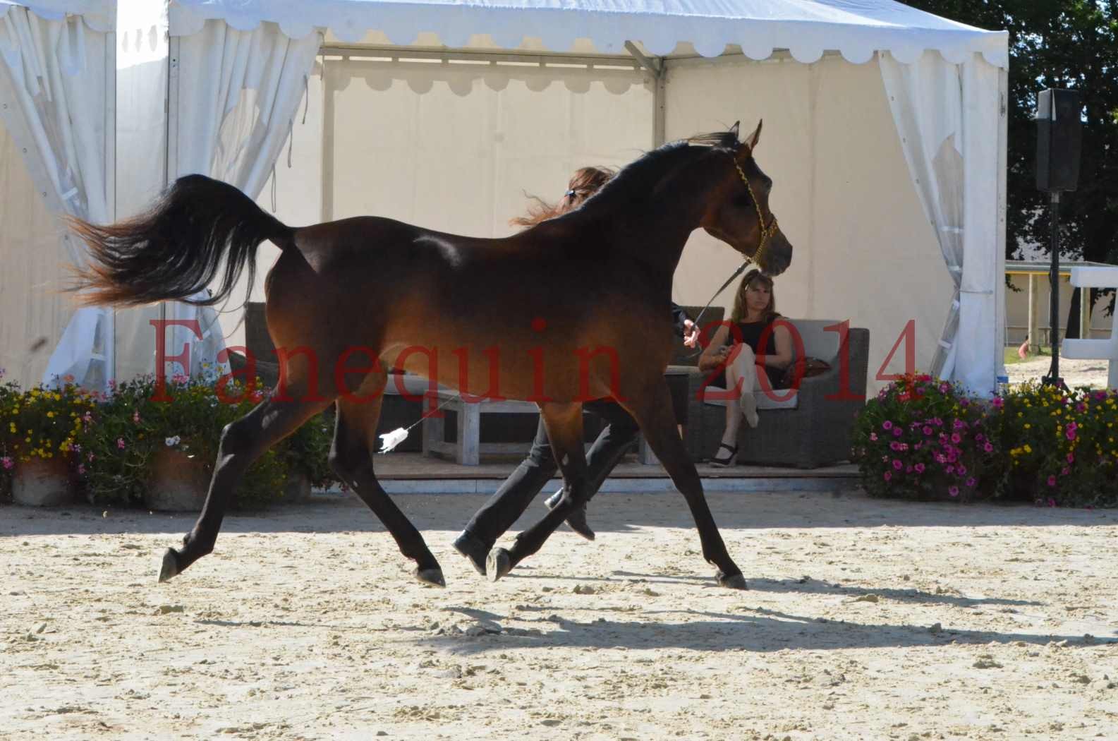 Championnat de FRANCE 2014 - Amateurs - JA KHALEB - 14