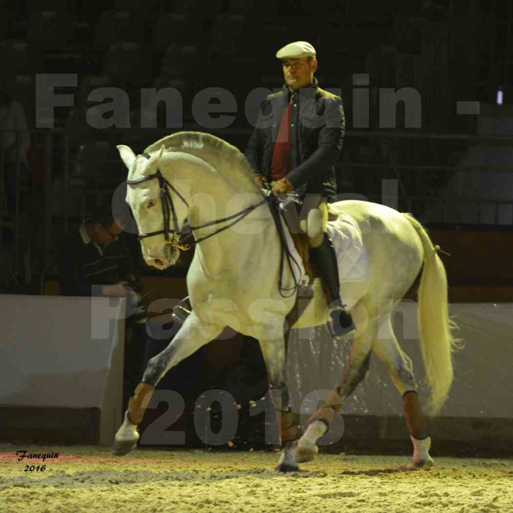 Cheval Passion 2016 - Présentation des LUSITANIENS - Ecurie de Max VENDRELL & Corinne BOUCHITTE - 03