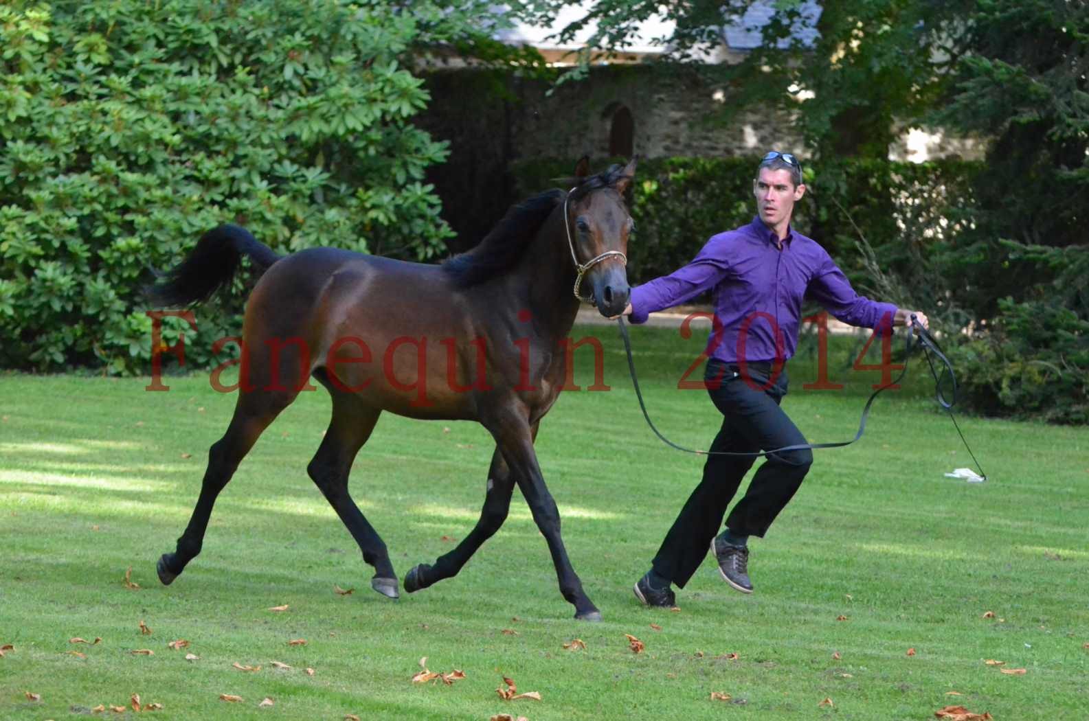 Championnat de FRANCE 2014 - Amateurs - SH FARAJAA - 87