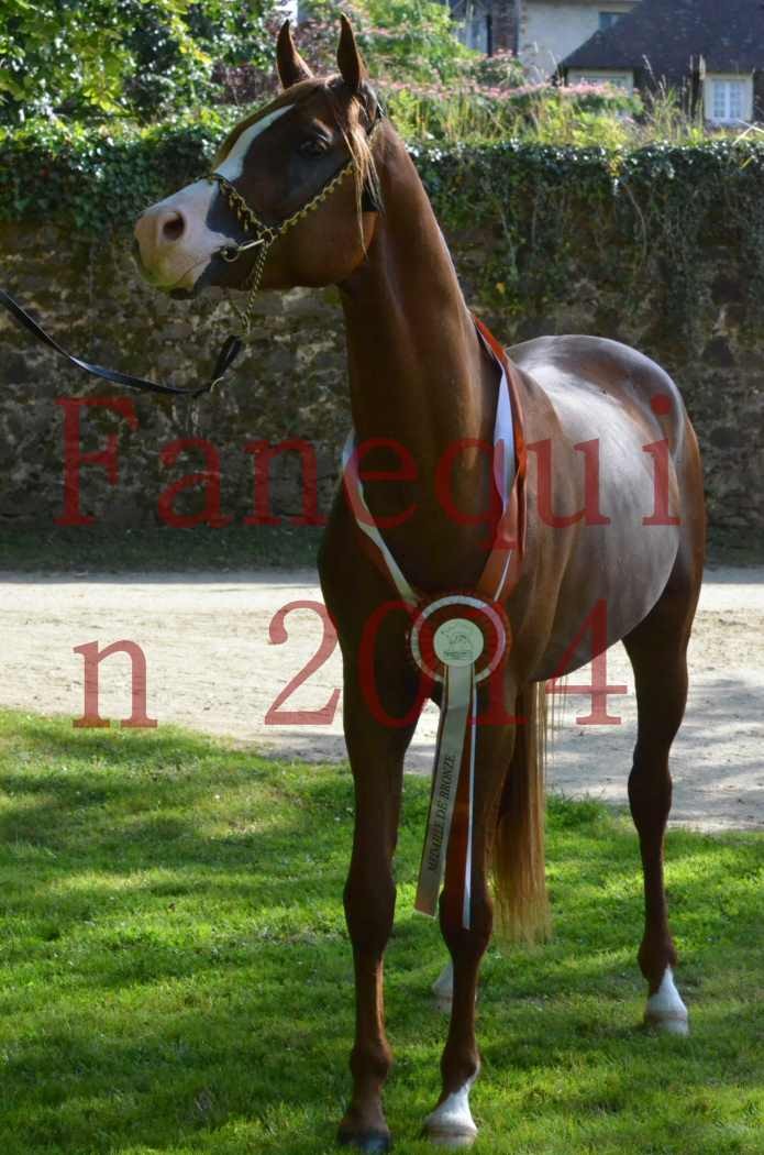 Championnat de FRANCE 2014 - Amateurs - SELECTO IBN SAMAWI - 178