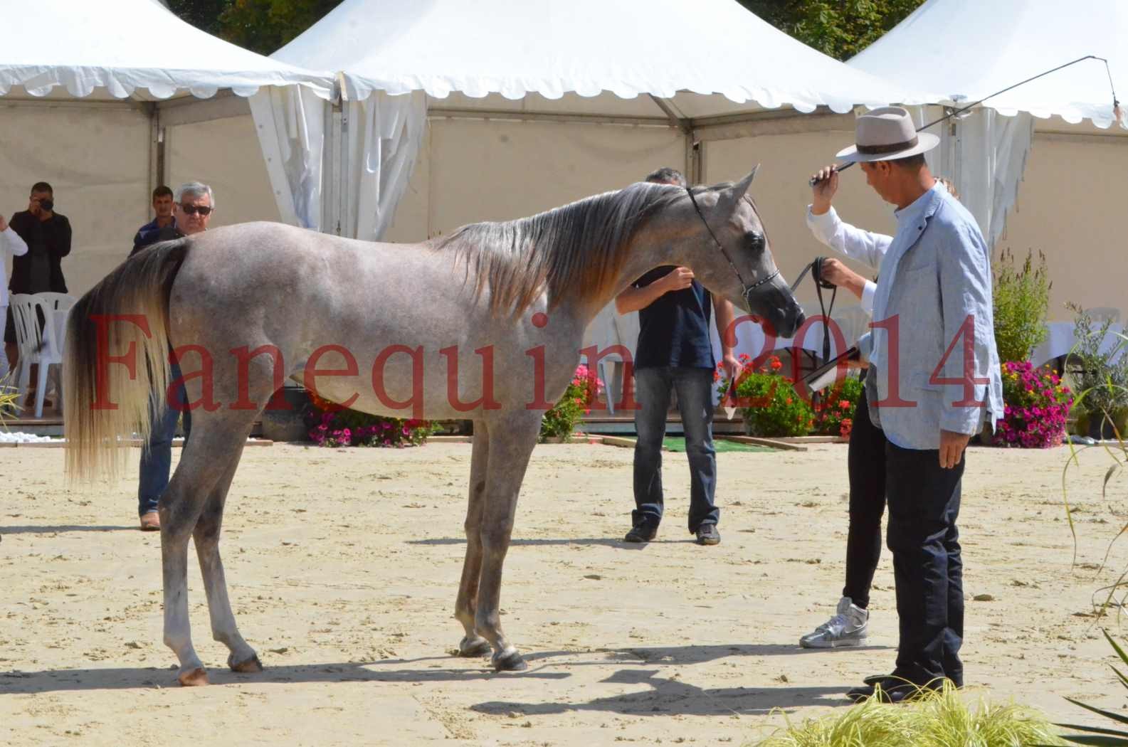 Championnat de FRANCE 2014 - Amateurs - SANA ISHANE - 45