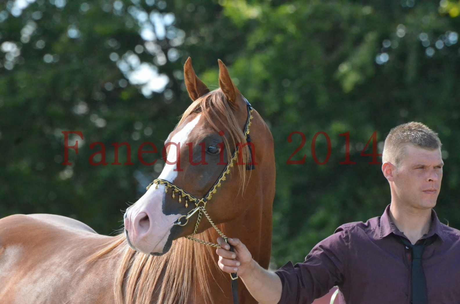 Championnat de FRANCE 2014 - Amateurs - SELECTO IBN SAMAWI - 109