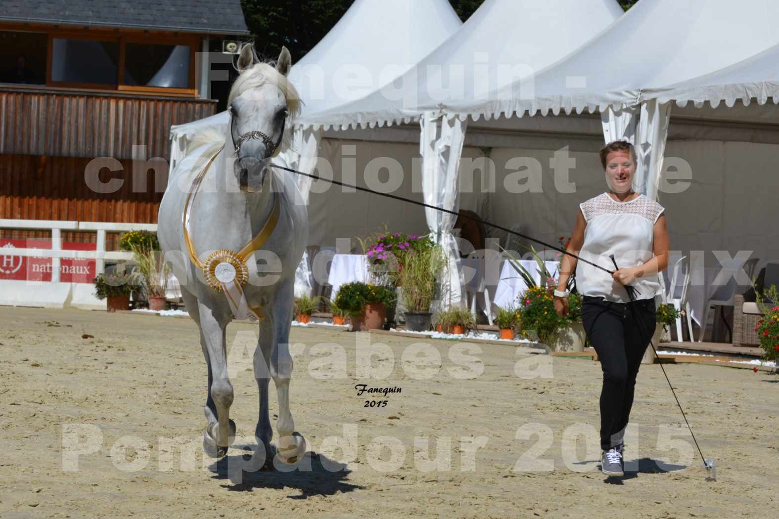 Championnat de FRANCE du cheval ARABE à POMPADOUR 2015 - Classes PROFESSIONNELS - HAADJA - 7