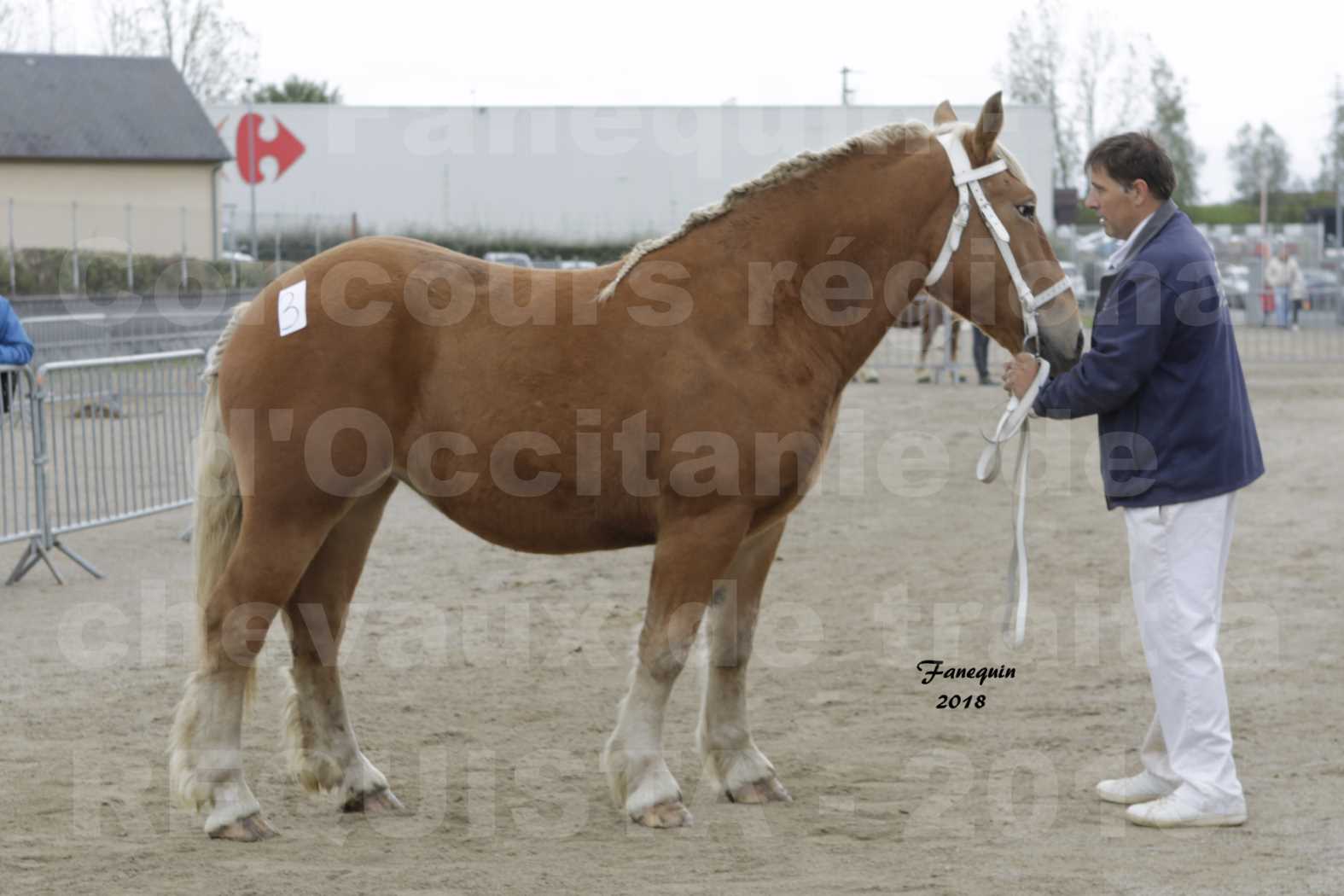 Concours Régional "OCCITANIE" de Chevaux de Traits à REQUISTA en 2018 - HARMONY DE GRILLOLES - 1