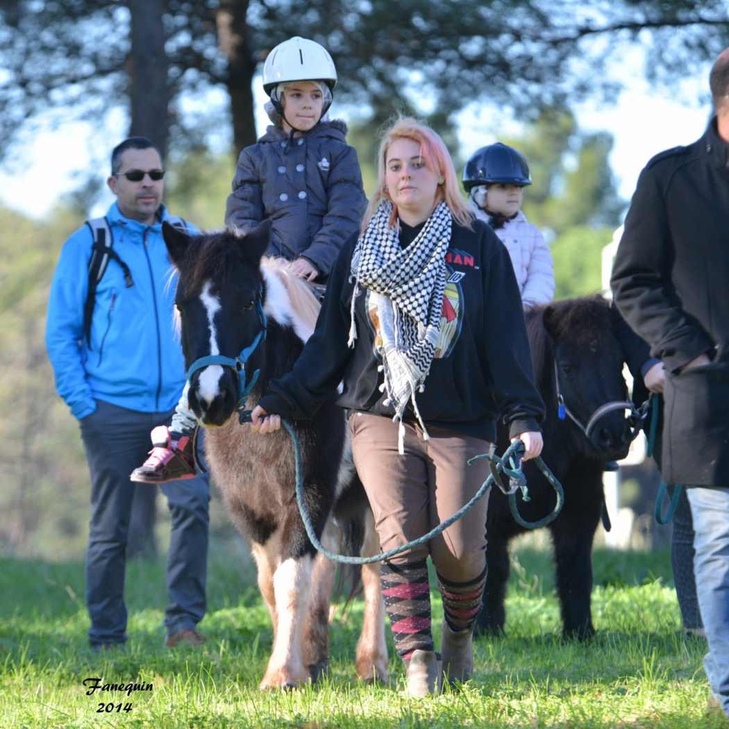 Marchés de Noël 2014 - Promenades en Poneys à Pignan - 24