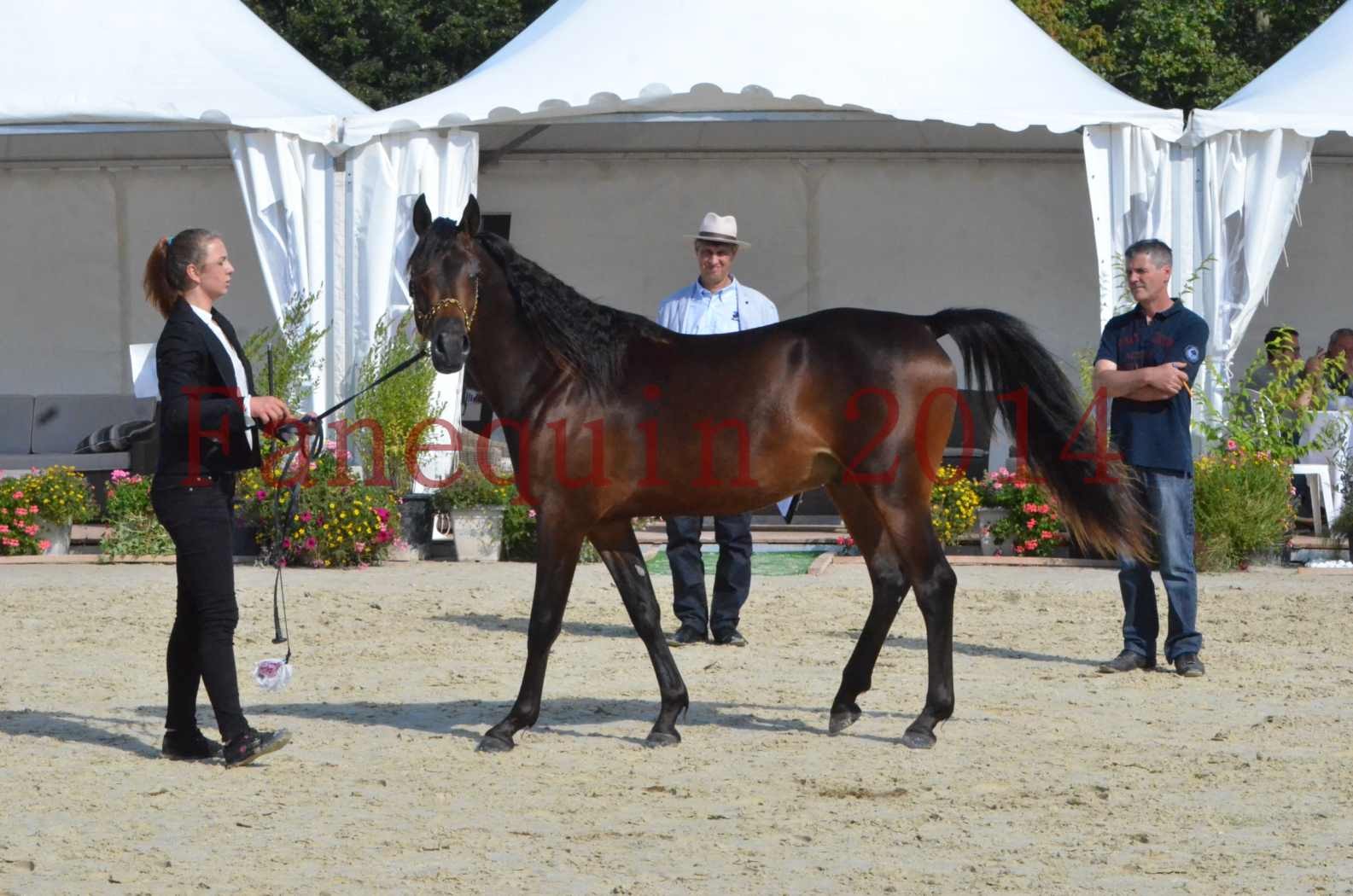 Championnat de FRANCE 2014 - Amateurs - JA KHALEB - 37