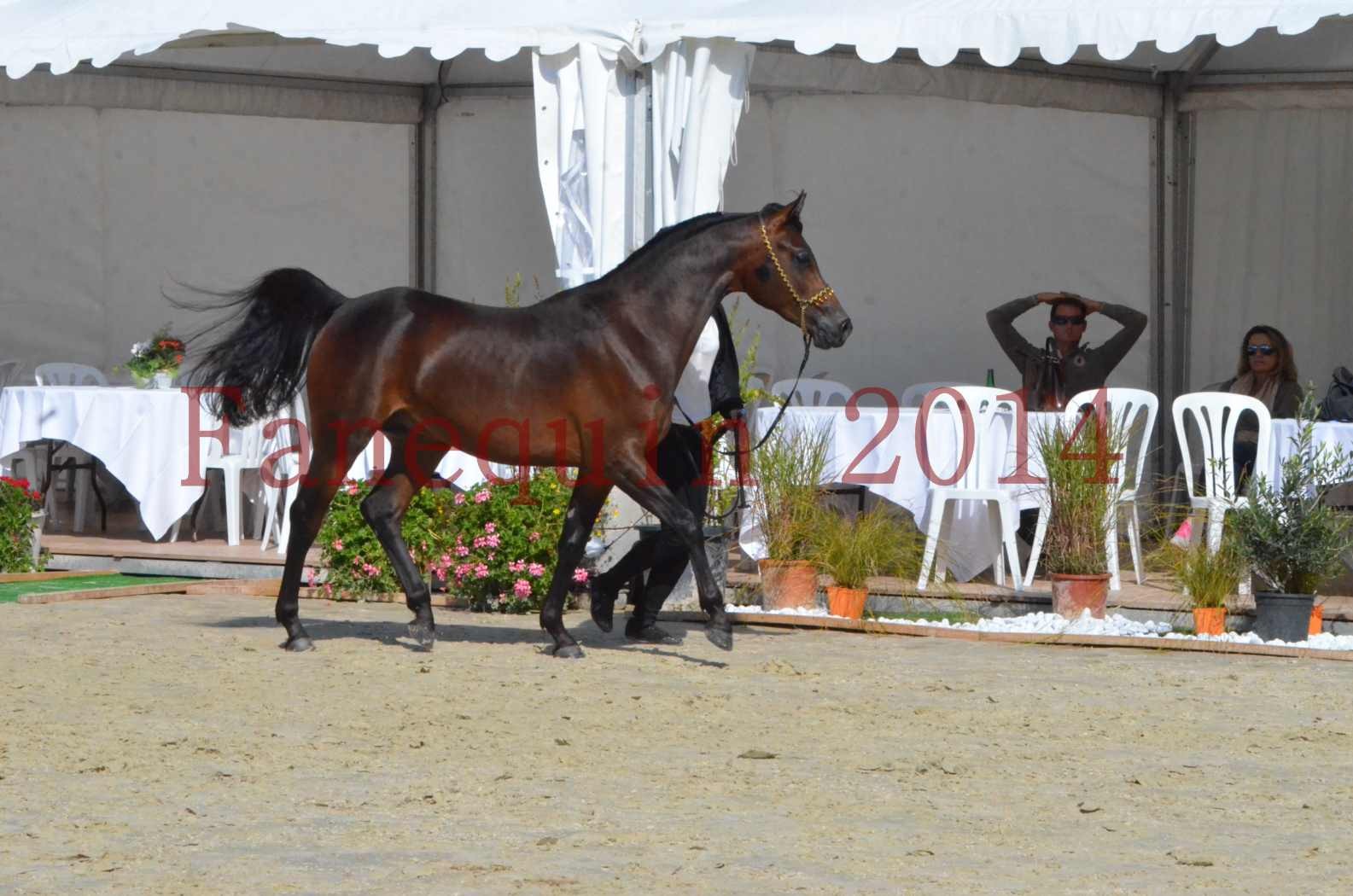 Championnat de FRANCE 2014 - Amateurs - JA KHALEB - 27