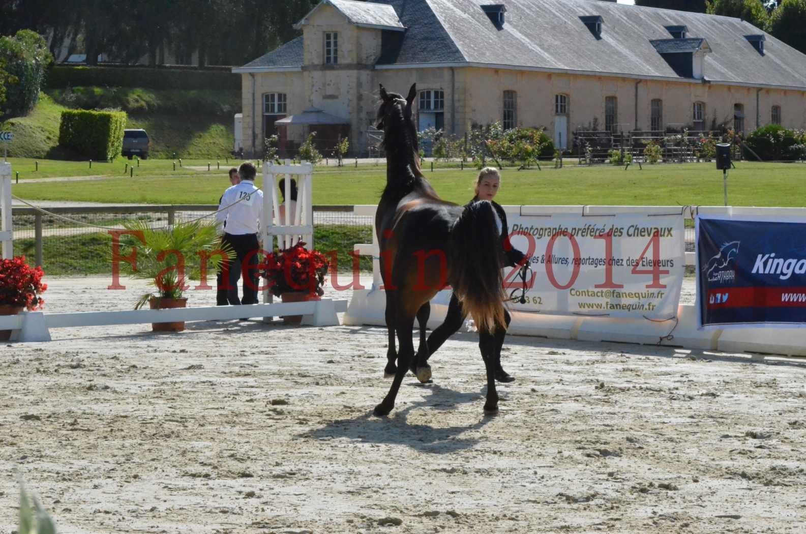 Championnat de FRANCE 2014 - Amateurs - JA KHALEB - 19