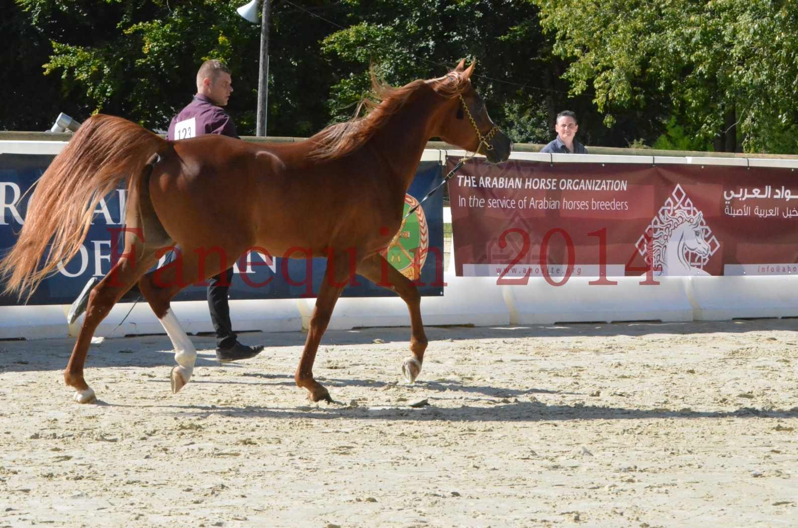 Championnat de FRANCE 2014 - Amateurs - SELECTO IBN SAMAWI - 013