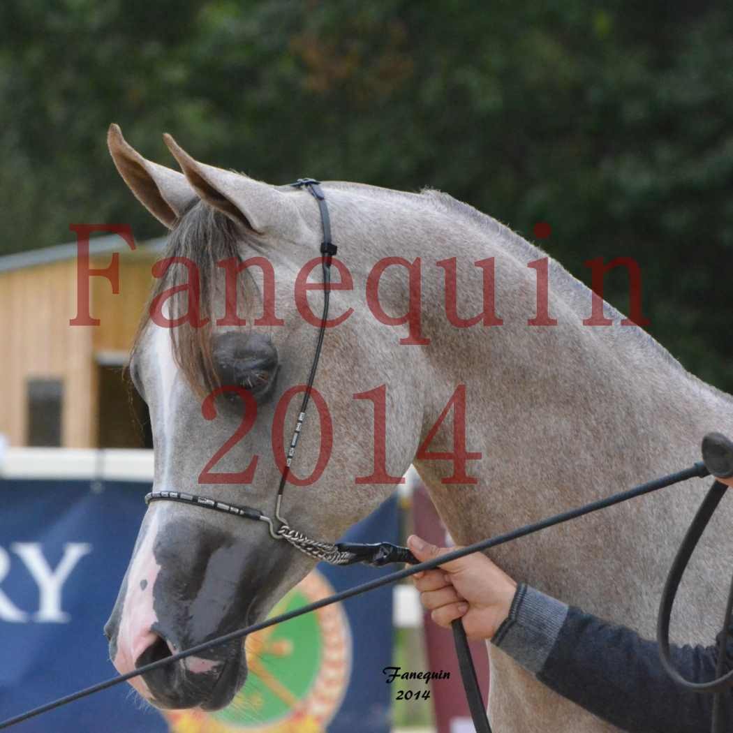 CHAMPIONNAT DE FRANCE 2014 A POMPADOUR - Notre Sélection - Portraits - ANWAR ISHANE - 2