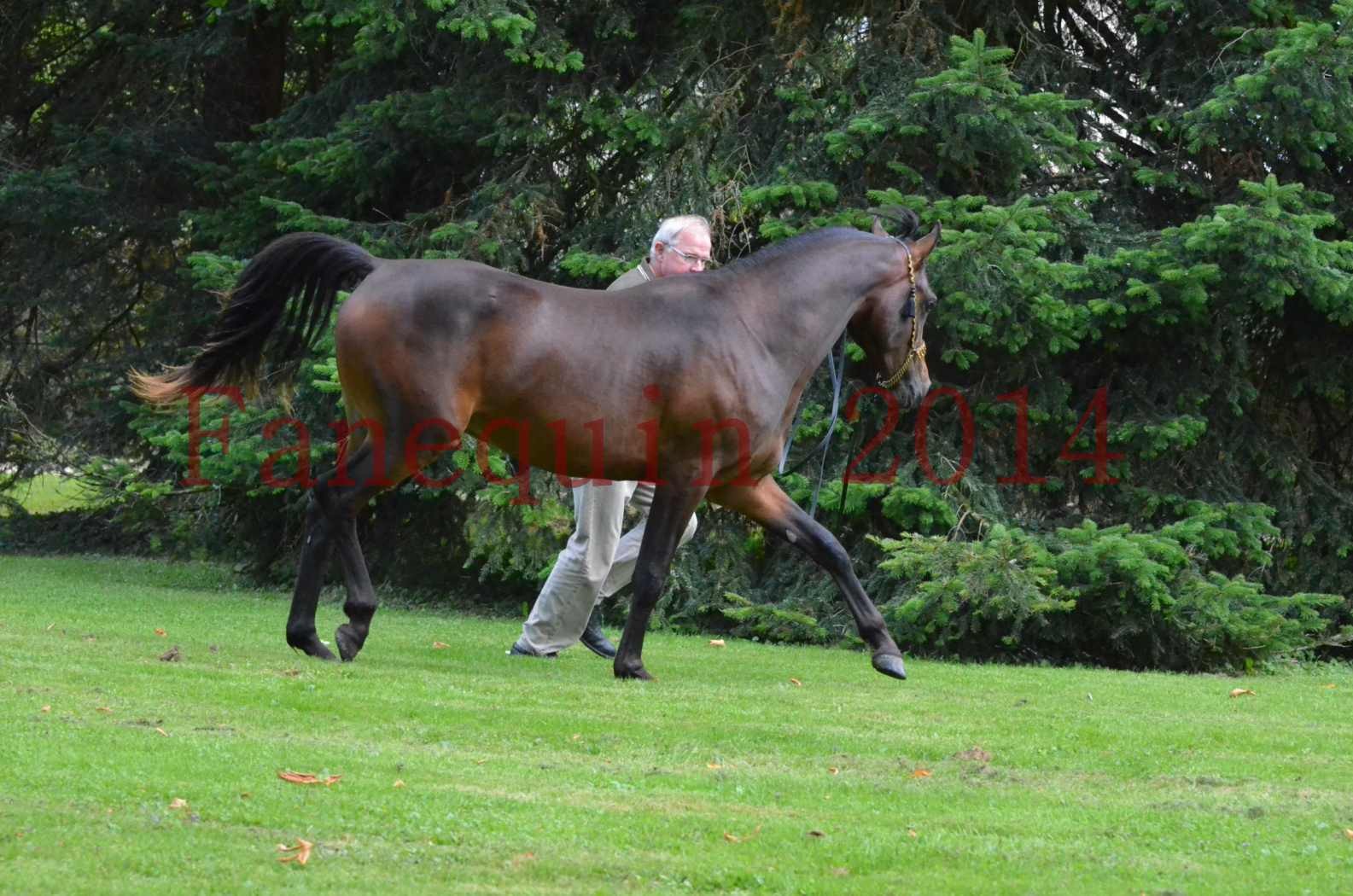 Championnat de FRANCE 2014 - Amateurs - JA KHALEB - 87