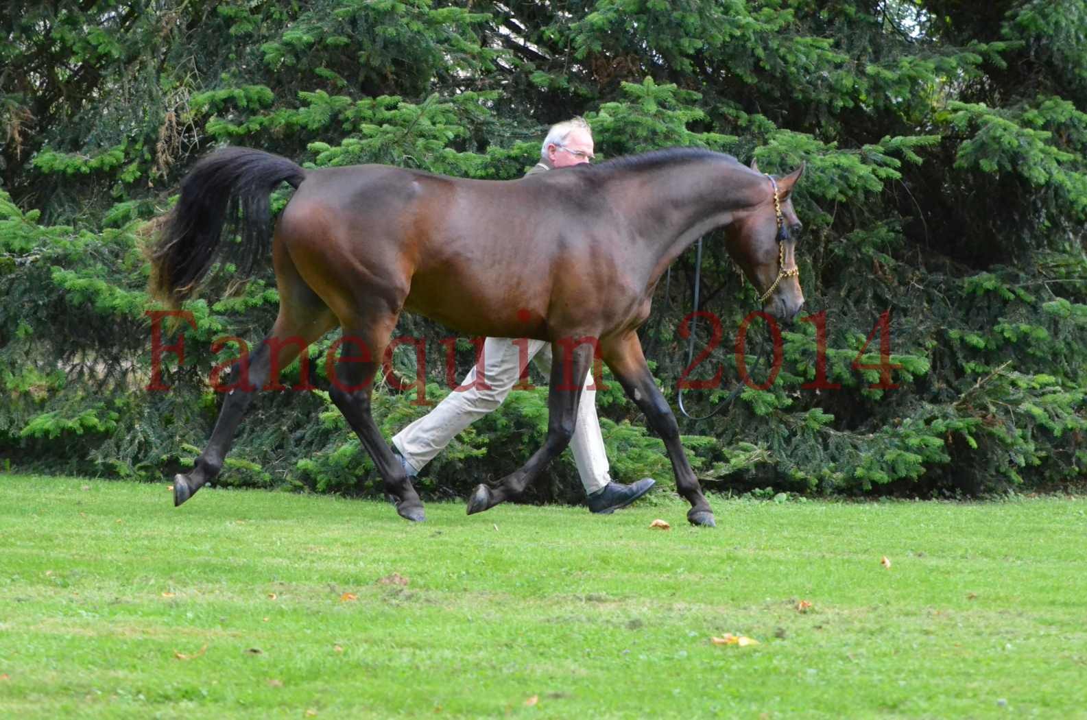 Championnat de FRANCE 2014 - Amateurs - JA KHALEB - 79