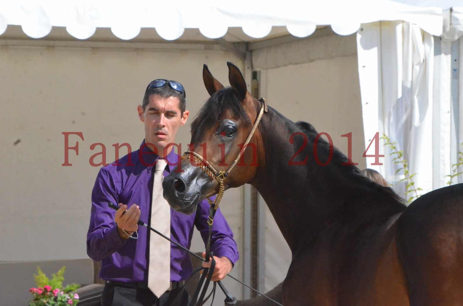 Championnat de FRANCE 2014 - Amateurs - SH FARAJAA - 43