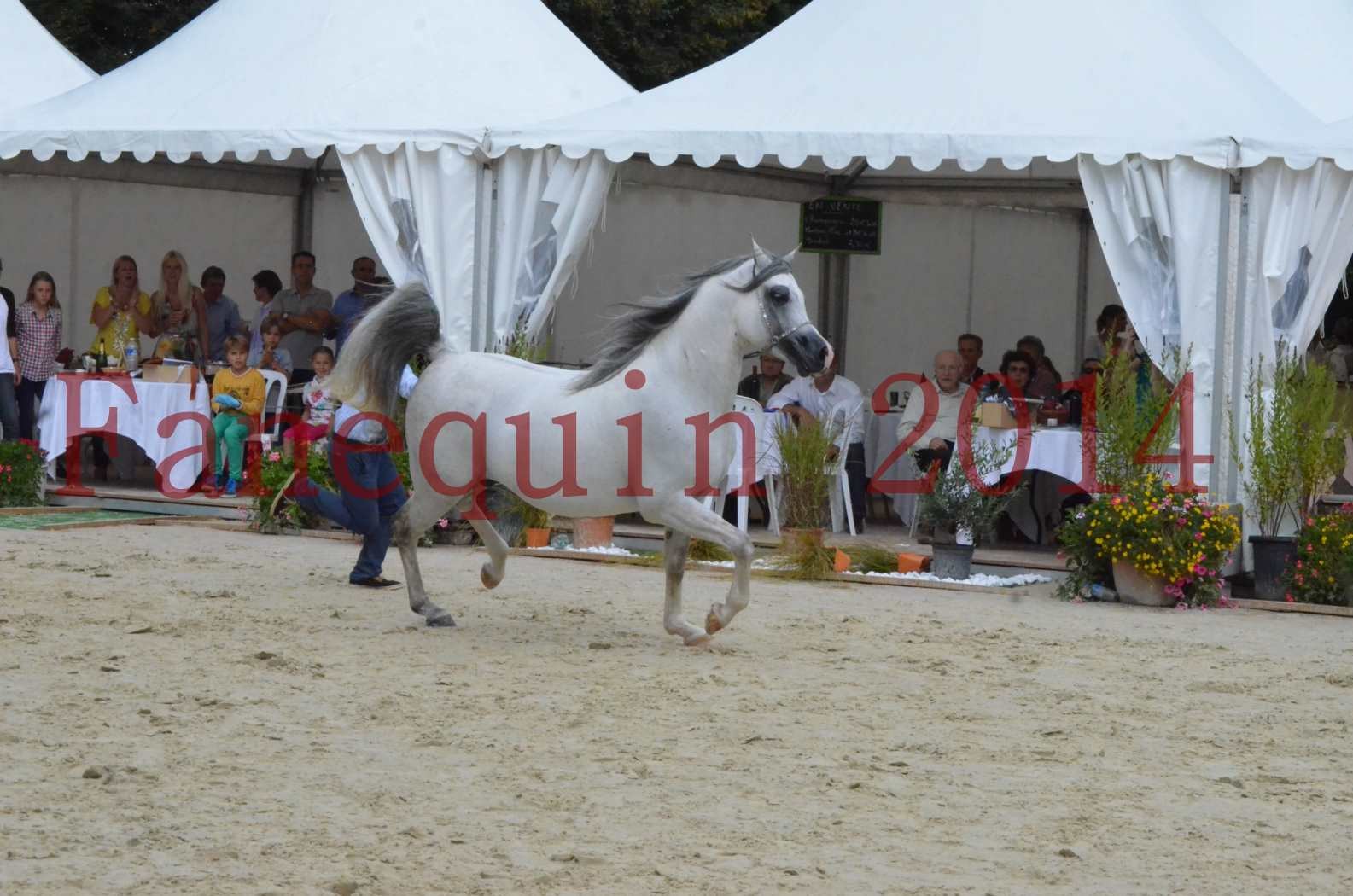 CHAMPIONNAT DE FRANCE  2014 A POMPADOUR - Championnat - SHAOLIN DE NEDJAIA - 11