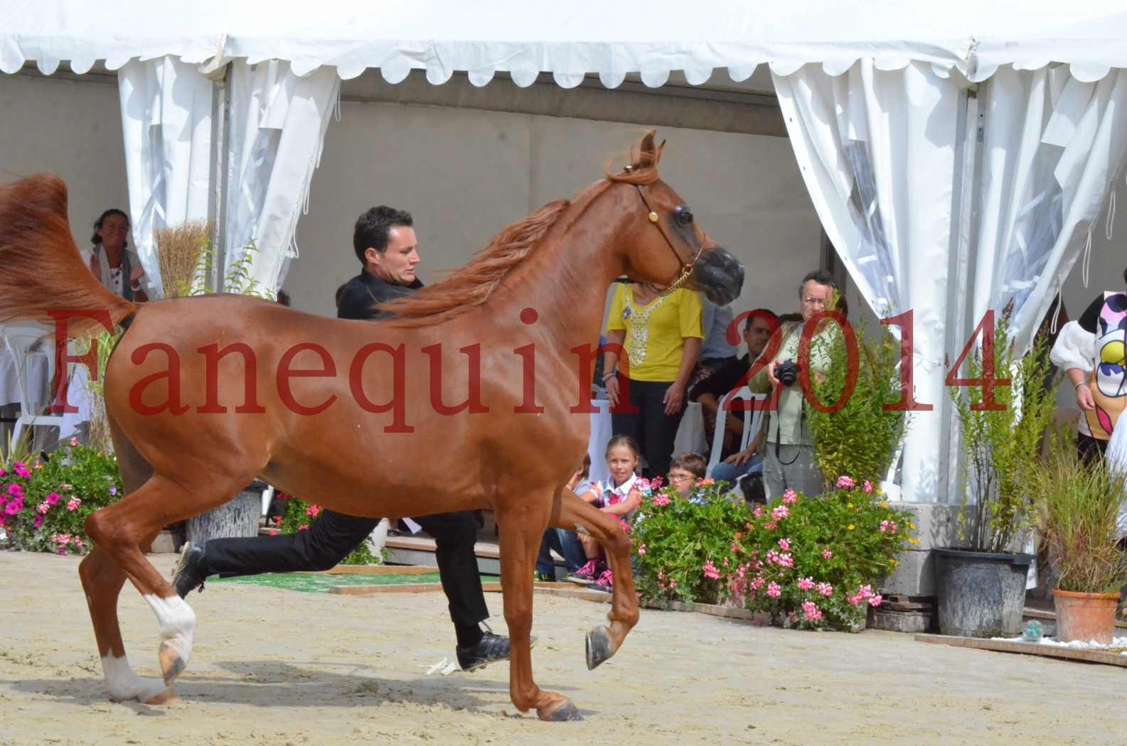 ﻿CHAMPIONNAT DE FRANCE 2014 A POMPADOUR - Championnat - KINSHASA JA - 24