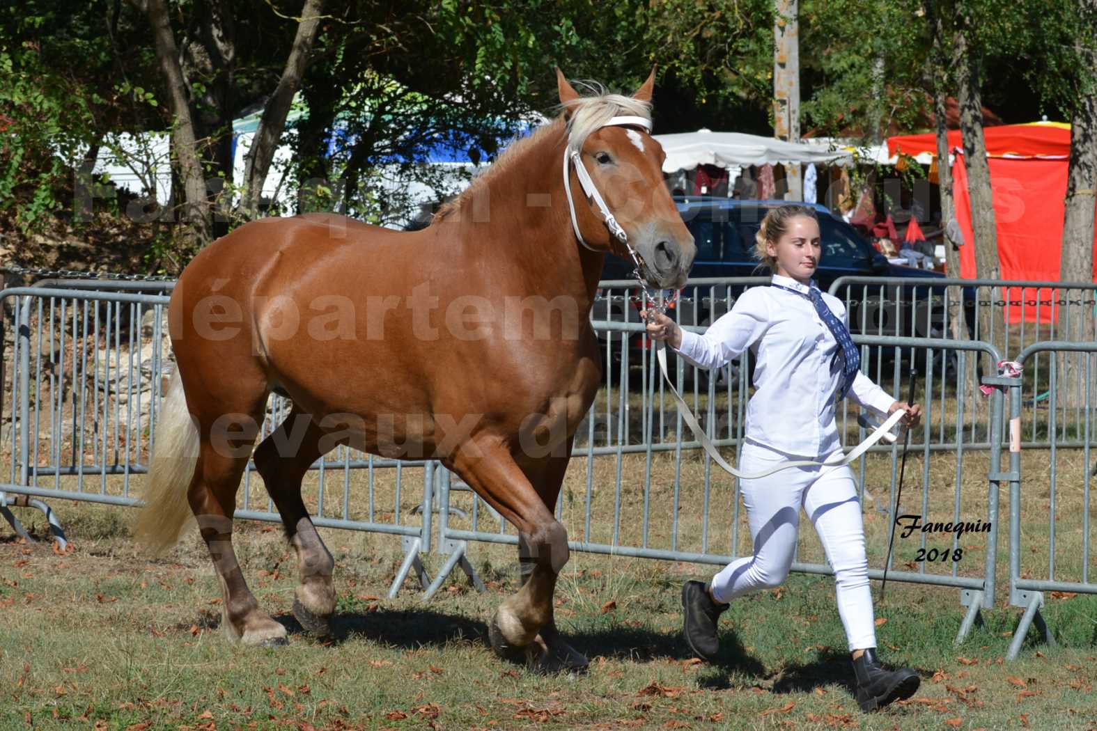 Concours départemental de chevaux de traits à GRAULHET en 2018 - Elevage POUJADE - Notre Sélection - 06
