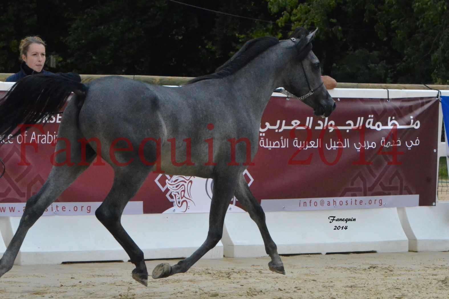 CHAMPIONNAT DE FRANCE 2014 A POMPADOUR - Notre Sélection - AL MINYA - 4