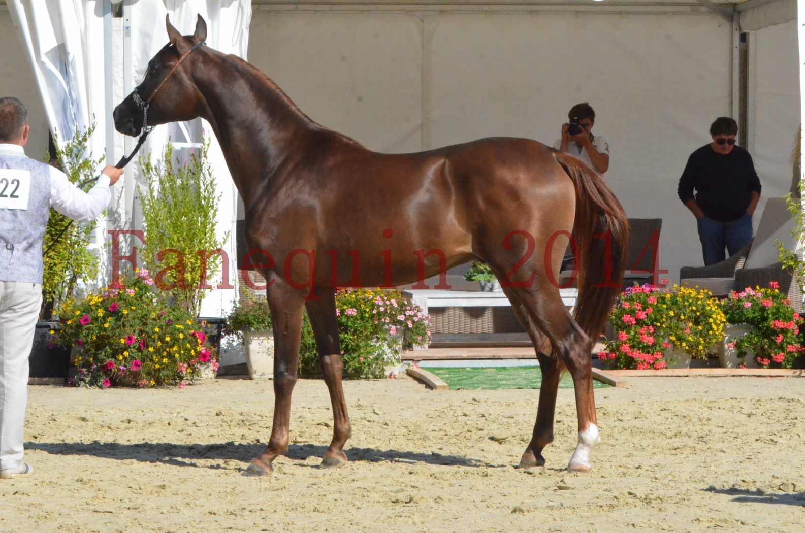 Championnat de FRANCE 2014 - Amateurs - LAMAL - 67