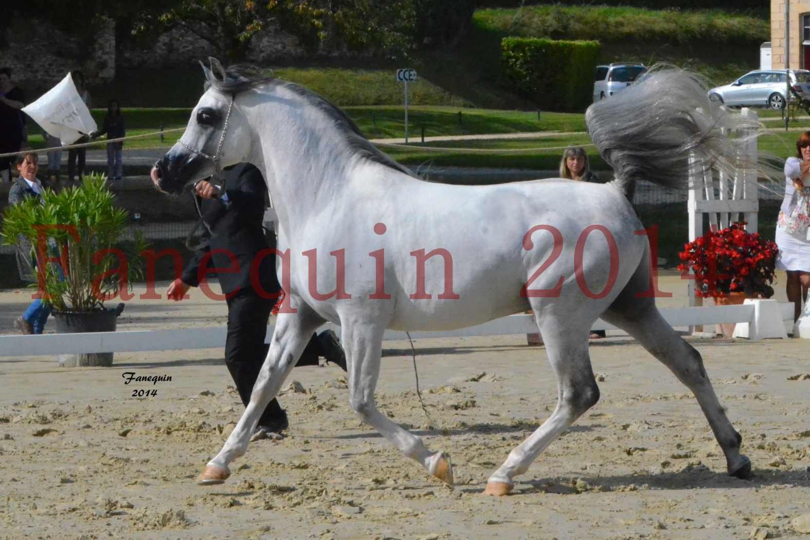 CHAMPIONNAT DE FRANCE  2014 A POMPADOUR - Notre Sélection - SHAOLIN DE NEDJAIA - 03