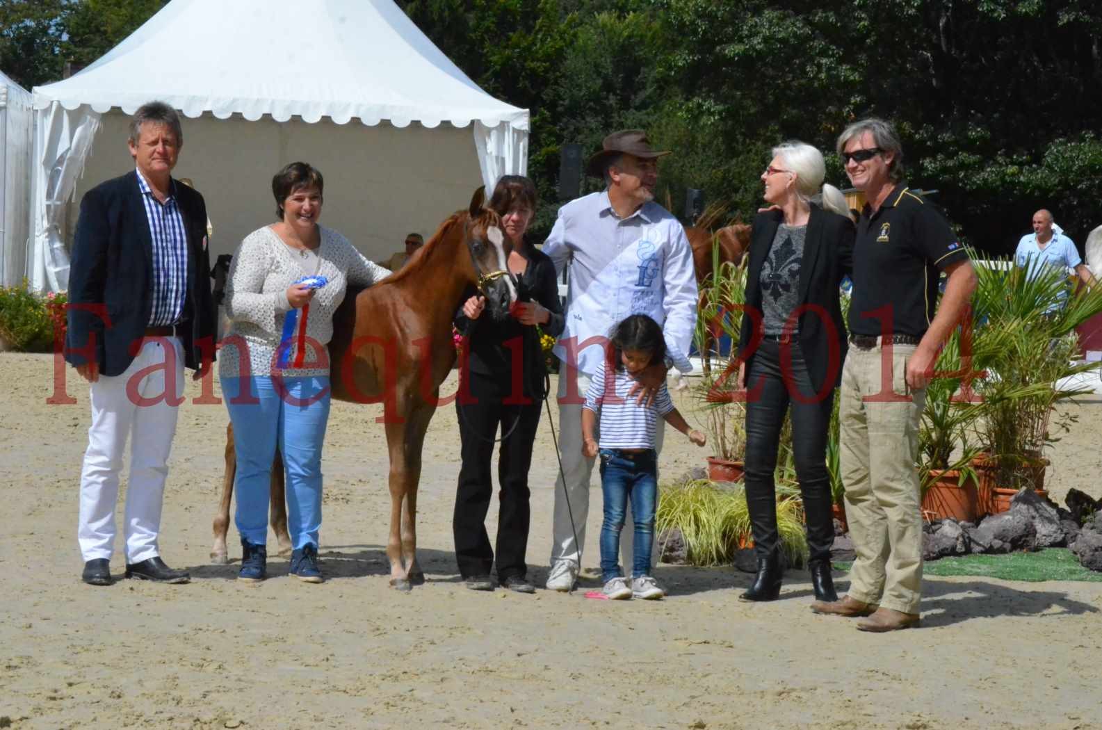 CHAMPIONNAT DE FRANCE 2014 A POMPADOUR - Championnat - TSAR KENZA - 93