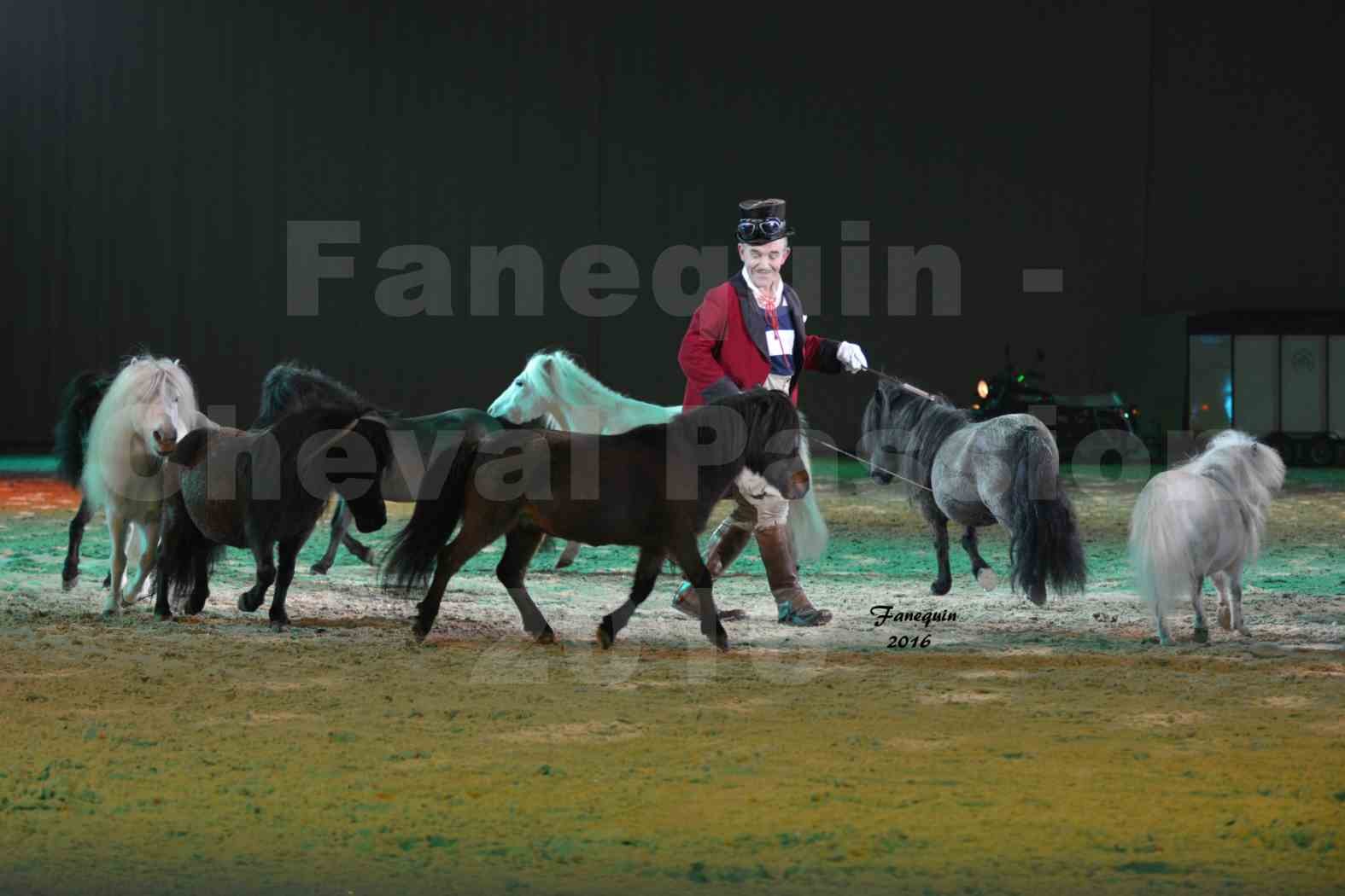 Cheval Passion 2016 - MISEC - Pierre FURIC - 3