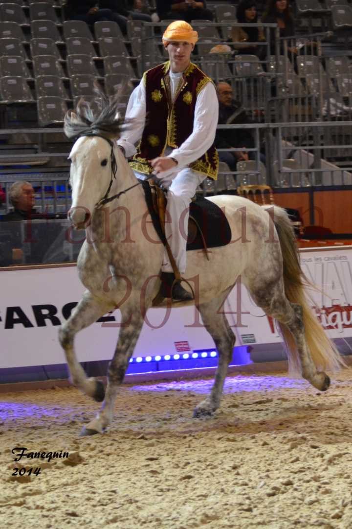 Show des races - Chevaux BARBE 31