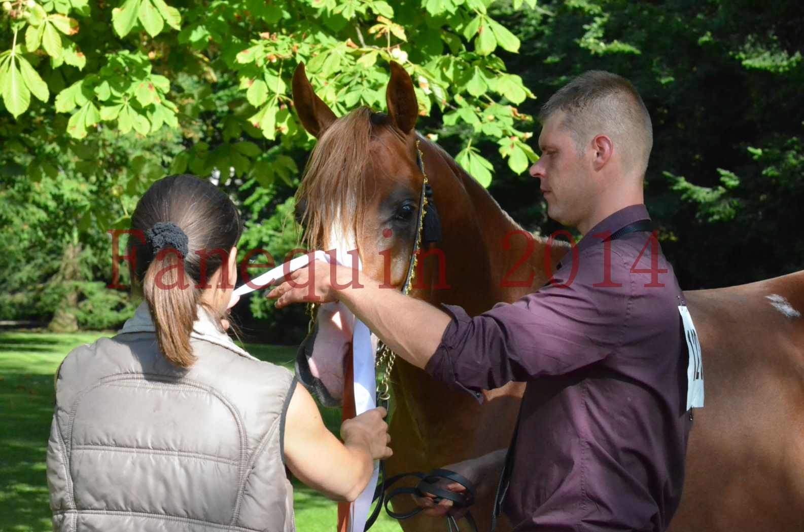 Championnat de FRANCE 2014 - Amateurs - SELECTO IBN SAMAWI - 168