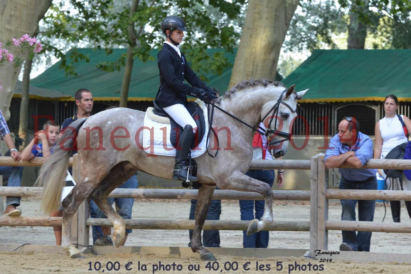 Championnat de FRANCE de PRE-présentation montés-06