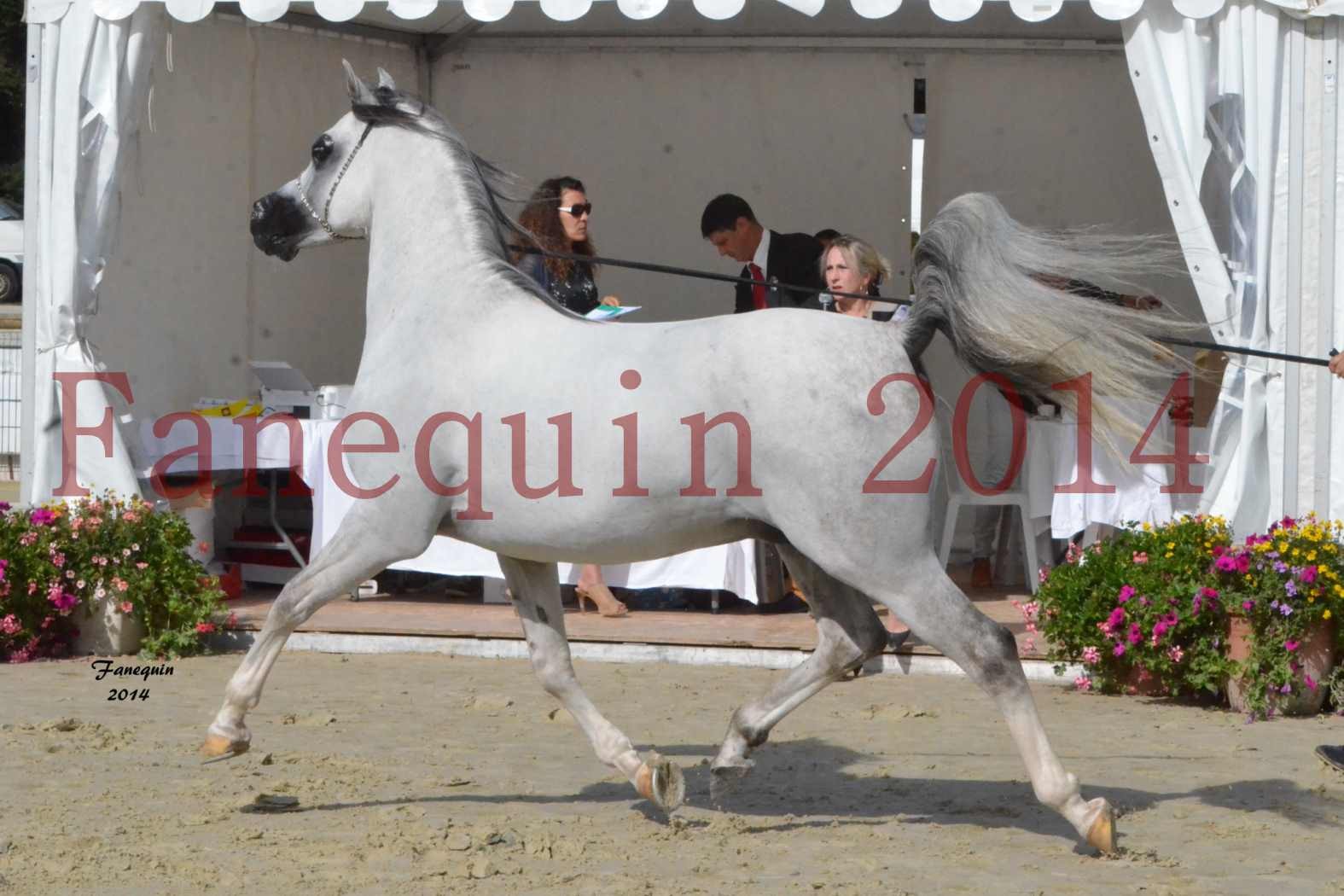 CHAMPIONNAT DE FRANCE  2014 A POMPADOUR - Notre Sélection - SHAOLIN DE NEDJAIA - 10