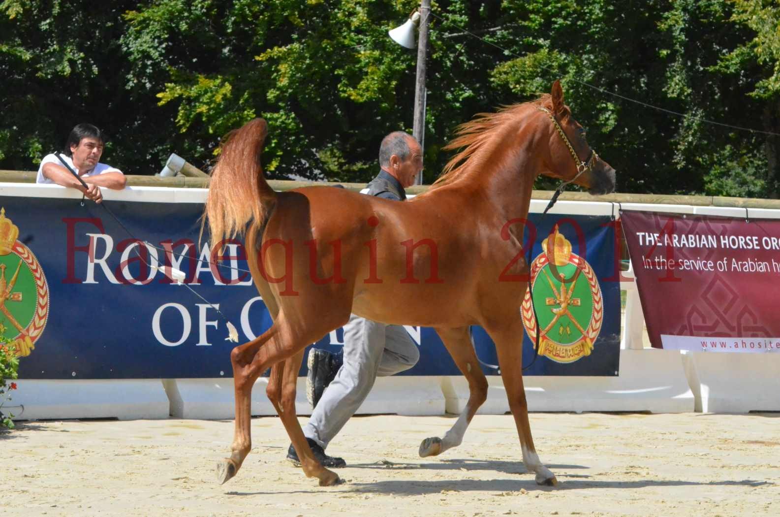 Championnat de FRANCE 2014 - Amateurs - SH CALLAS BINT ARMANI - 27