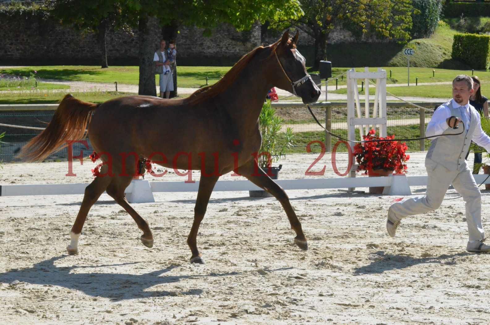 Championnat de FRANCE 2014 - Amateurs - LAMAL - 32