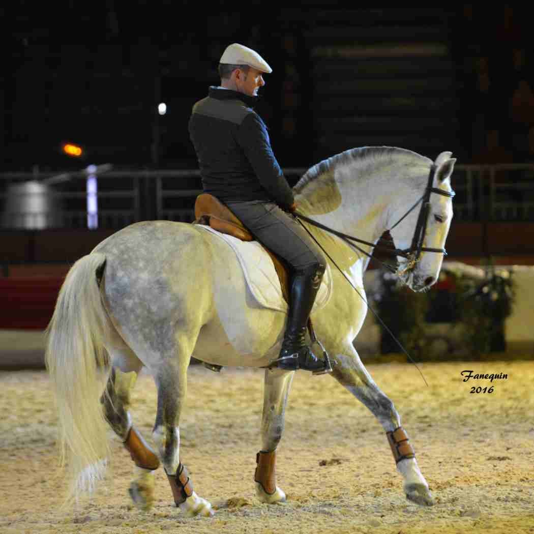 Cheval Passion 2016 - Présentation des LUSITANIENS - Ecurie de Max VENDRELL & Corinne BOUCHITTE - 38