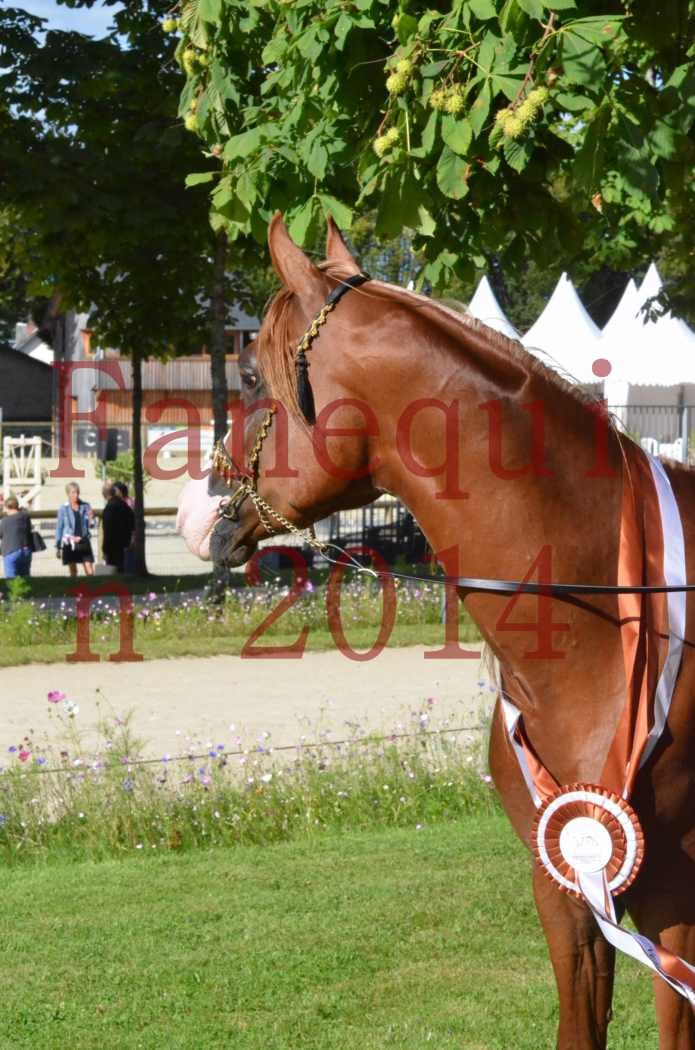 Championnat de FRANCE 2014 - Amateurs - SELECTO IBN SAMAWI - 201