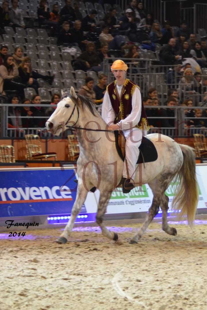 Show des races - Chevaux BARBE 21