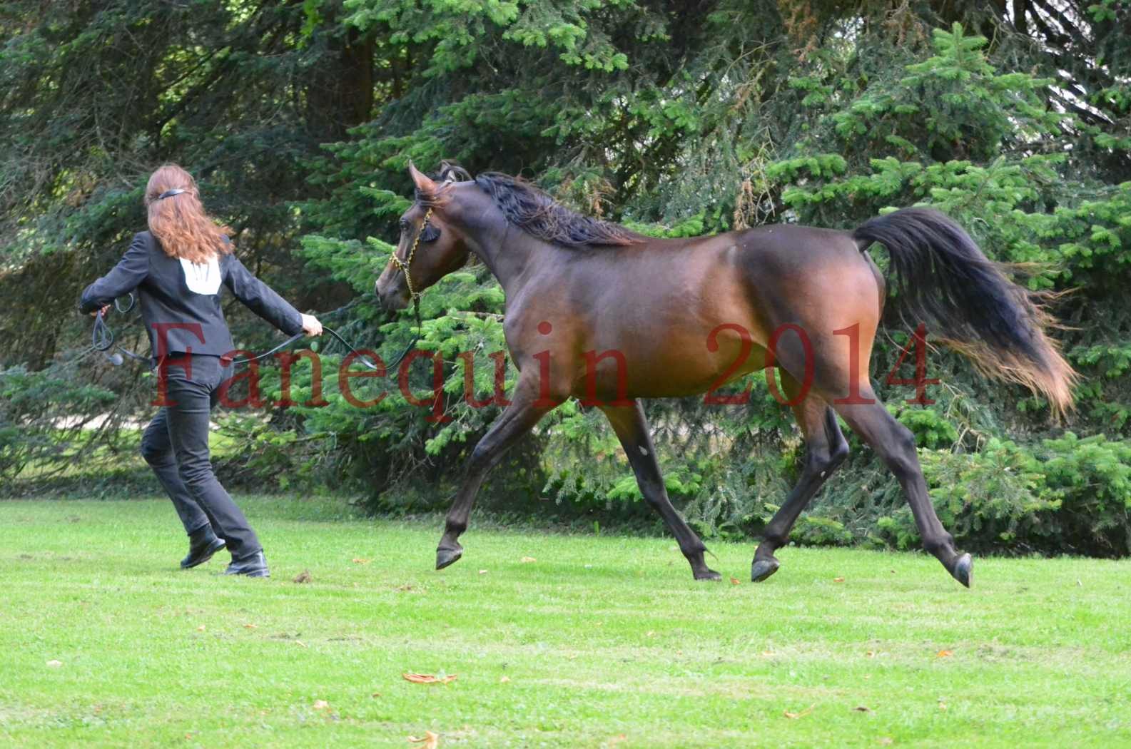 Championnat de FRANCE 2014 - Amateurs - JA KHALEB - 57