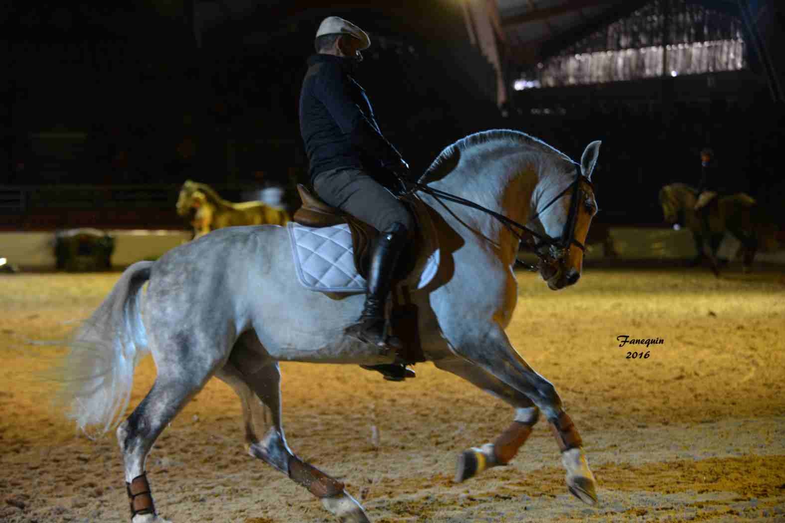 Cheval Passion 2016 - Présentation des LUSITANIENS - Ecurie de Max VENDRELL & Corinne BOUCHITTE - 40