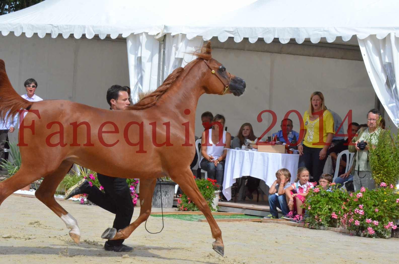 ﻿CHAMPIONNAT DE FRANCE 2014 A POMPADOUR - Championnat - KINSHASA JA - 23