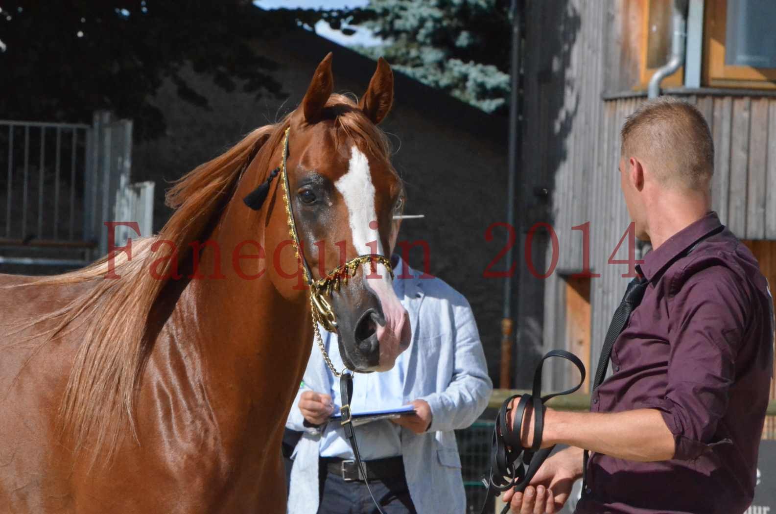 Championnat de FRANCE 2014 - Amateurs - SELECTO IBN SAMAWI - 077