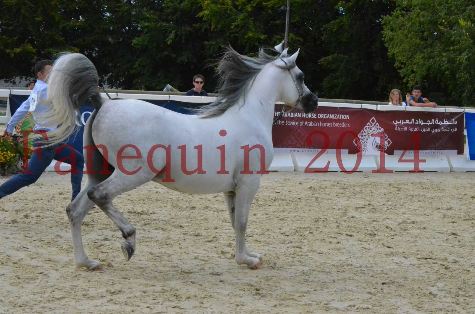 CHAMPIONNAT DE FRANCE  2014 A POMPADOUR - Championnat - SHAOLIN DE NEDJAIA - 04