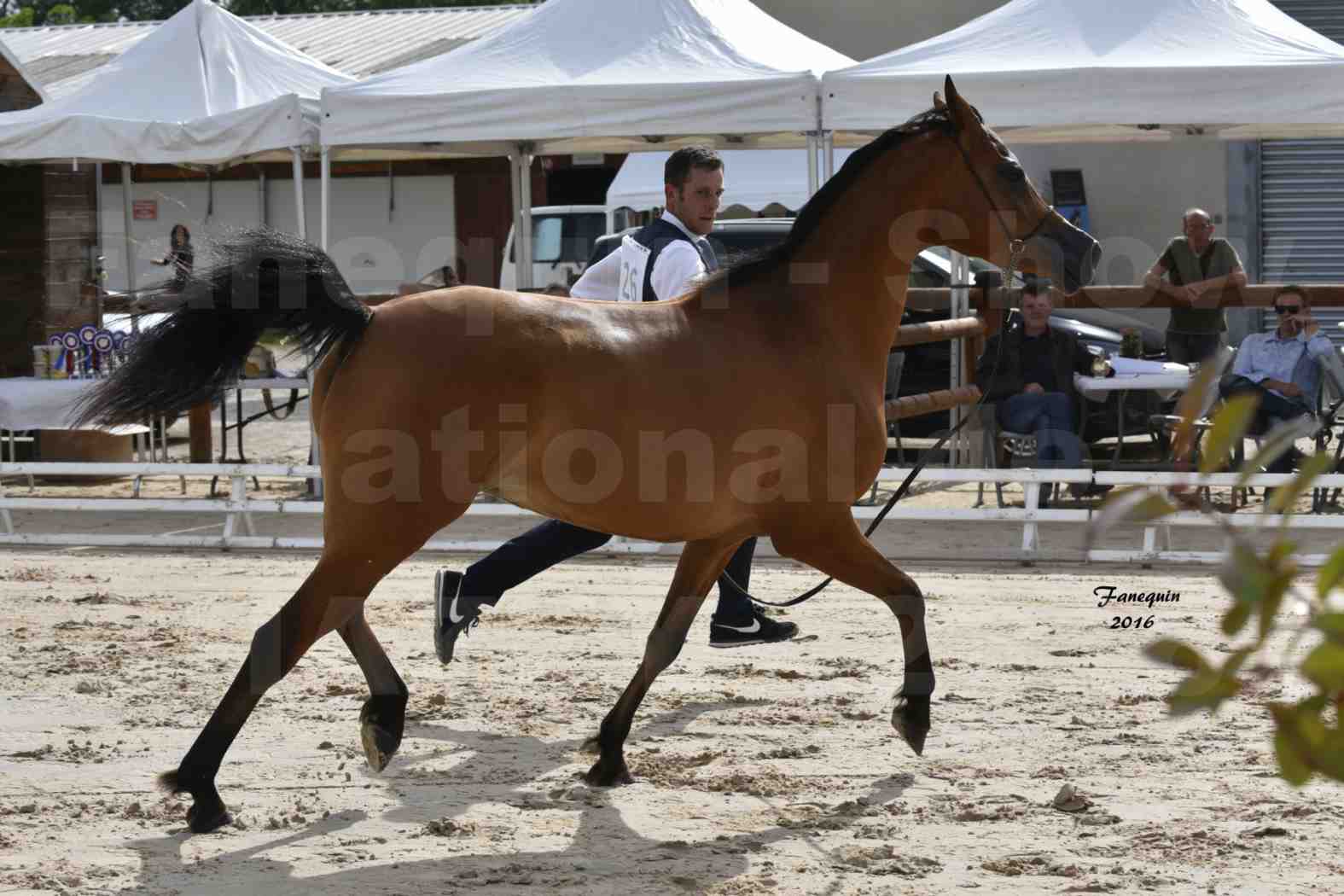 Show National de CHAZEY sur AIN en 2016 - ABHA TALAWA - 07