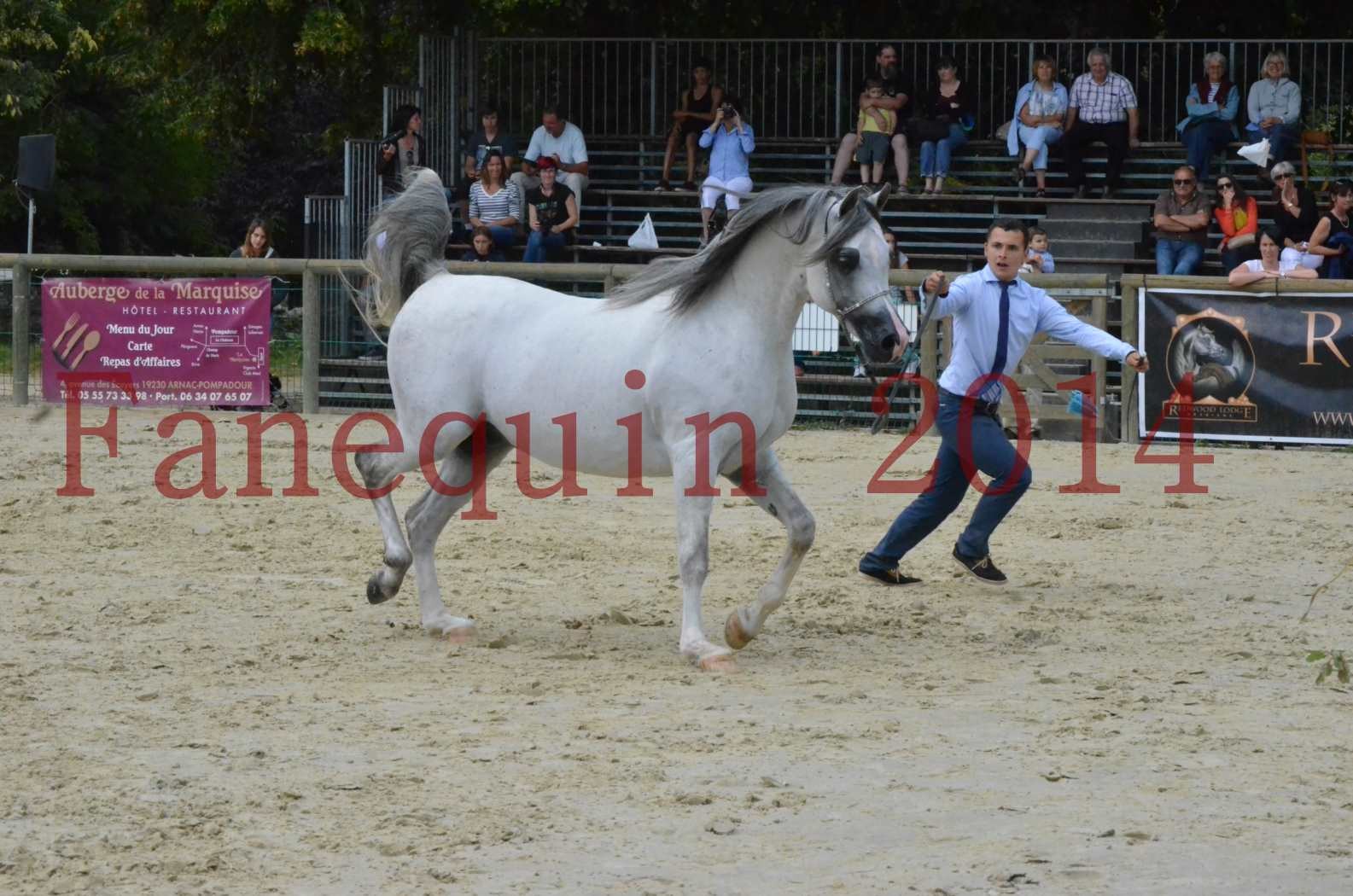 CHAMPIONNAT DE FRANCE  2014 A POMPADOUR - Championnat - SHAOLIN DE NEDJAIA - 06