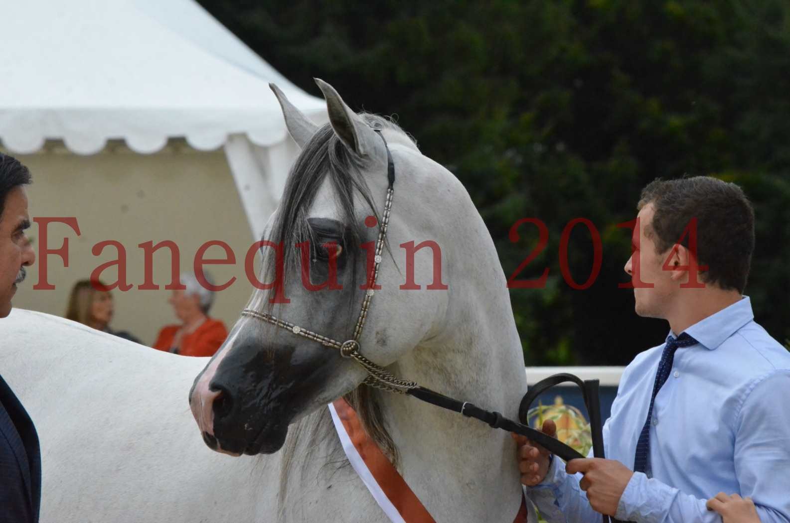 CHAMPIONNAT DE FRANCE  2014 A POMPADOUR - Championnat - SHAOLIN DE NEDJAIA - 34