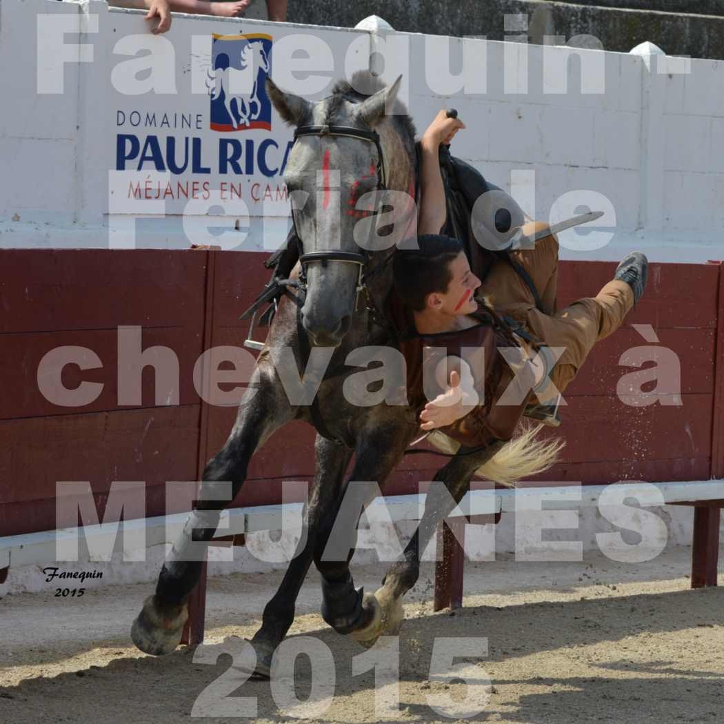 Feria du cheval 2015 à MEJANES - 2