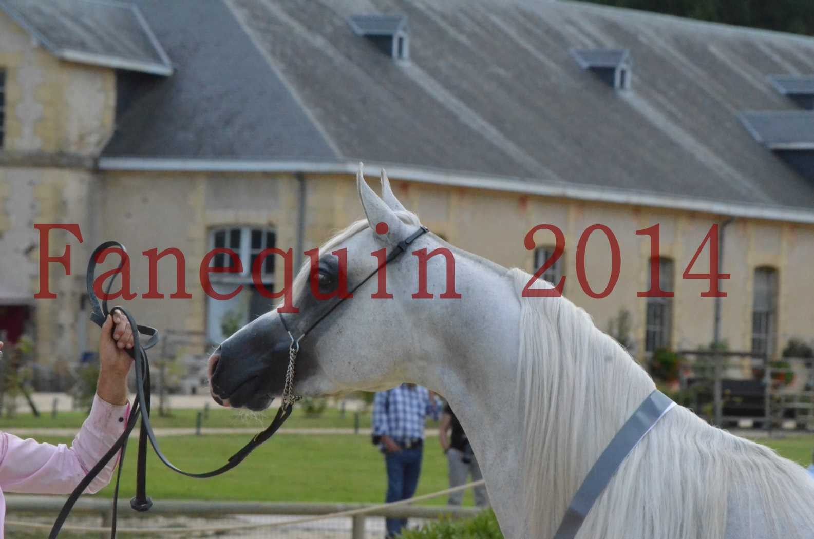 CHAMPIONNAT DE FRANCE 2014 A POMPADOUR - Championnat - FA STARLIGHT - 16